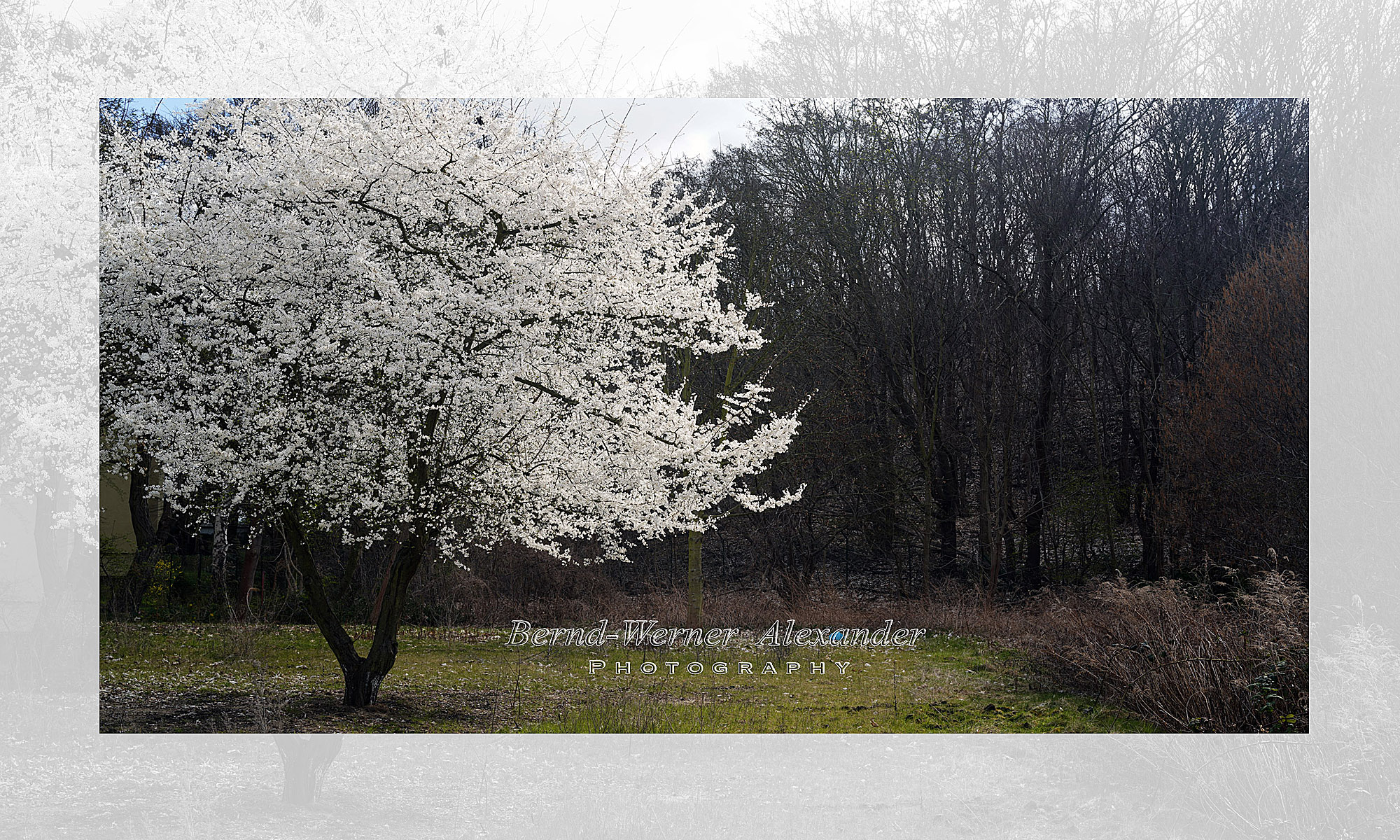 © Bernd-Werner Alexander Fine Art Photography